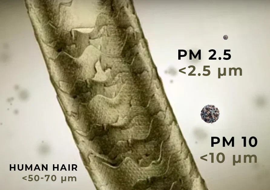 Very Fine Particles Particulate Matter: Monitoring & Health Risks | RAECO Rents